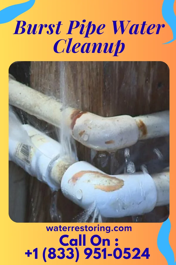 Burst Pipe Water Cleanup in Shady Hills, FL