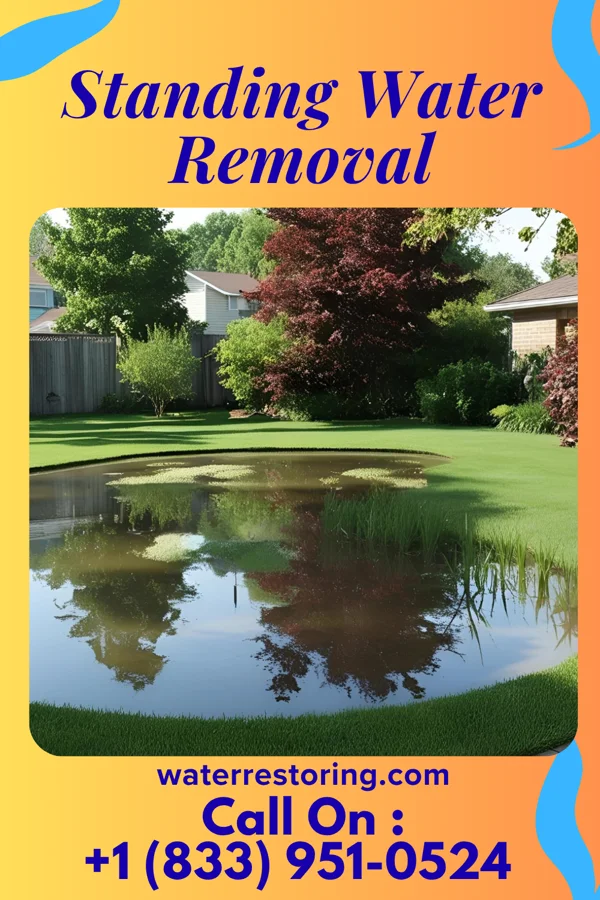 Standing Water Removal in Shady Hills, FL